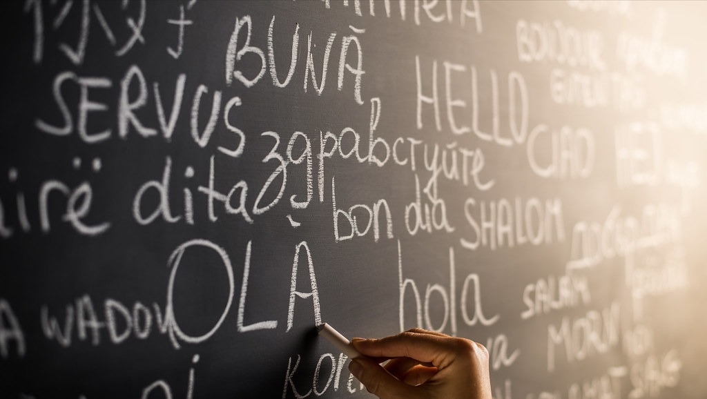 How Learning a Language Can Benefit Your Career